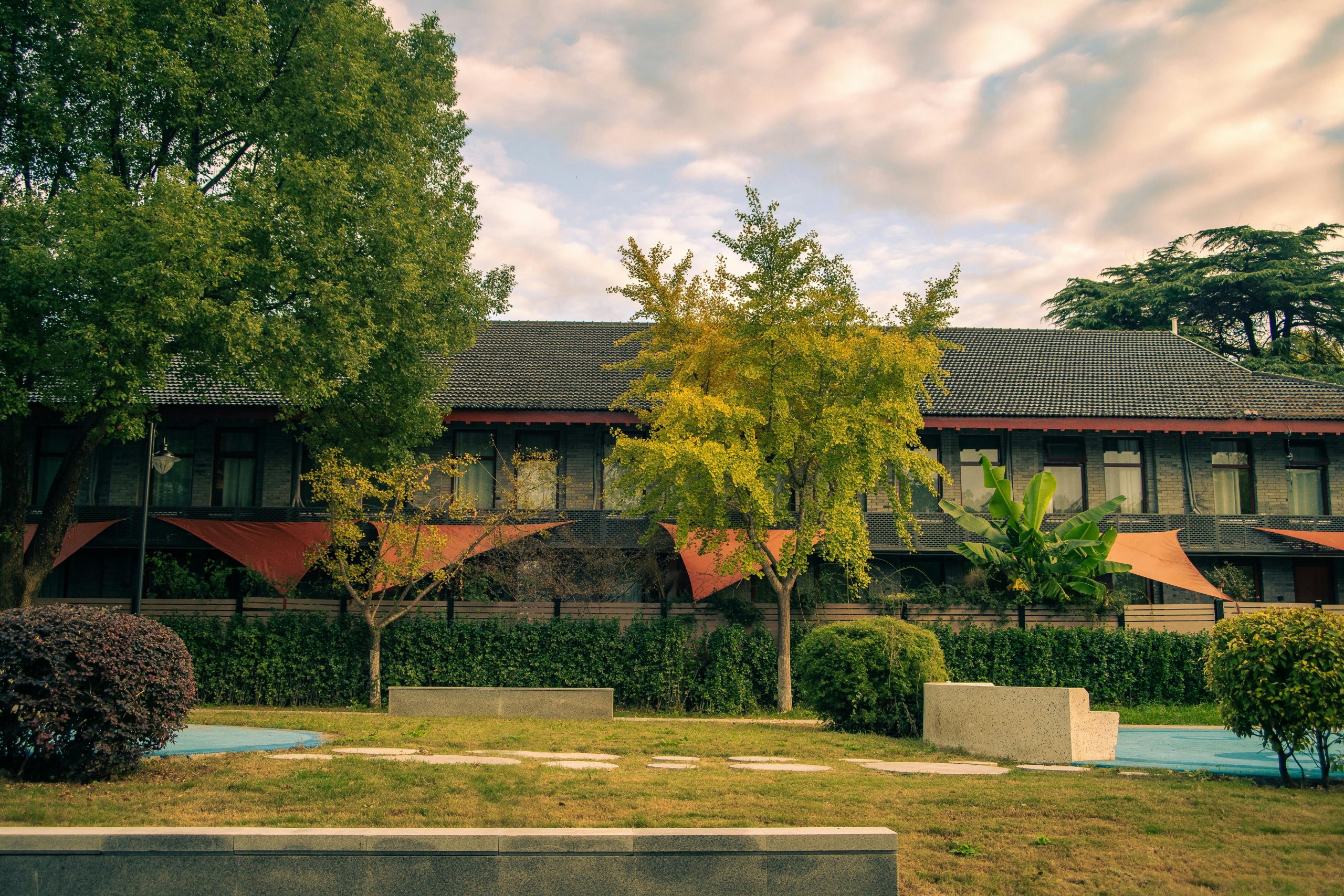 拉林铁路奏响加速发展新乐章 - 图片1