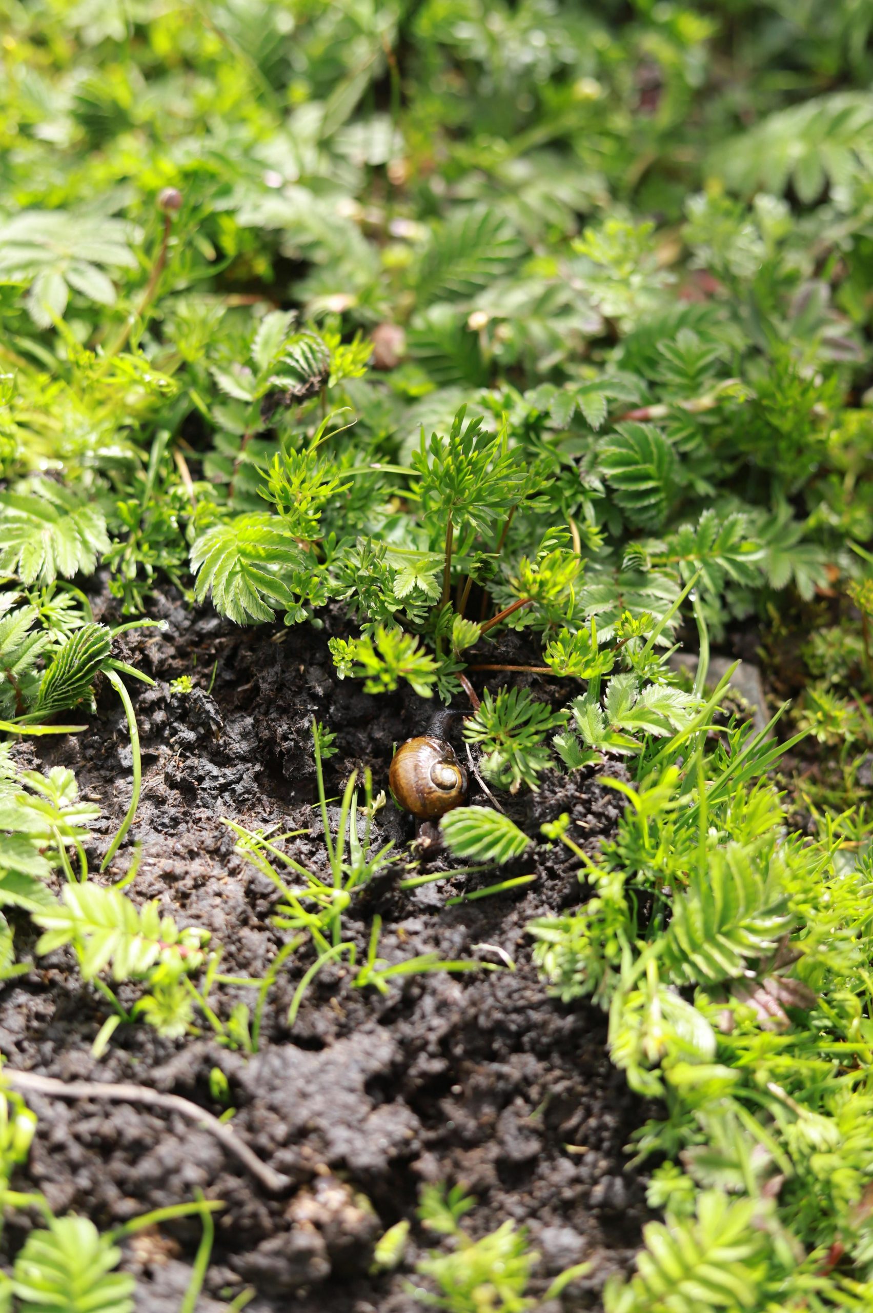 四川“十四五”高质量教育体系建设成效显著 - 图片1