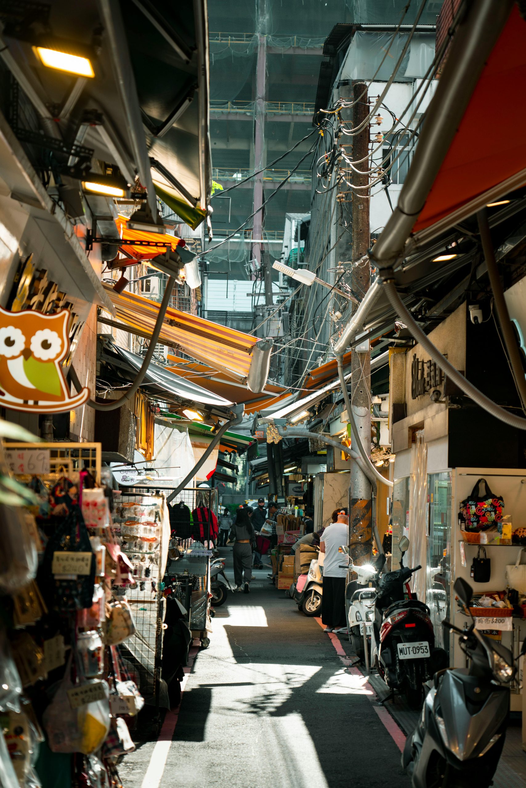 专家：高市挑衅言论非“独苗”，根在日本右倾化土壤 - 图片1